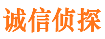 武侯市调查公司